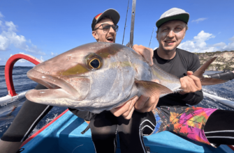 Рыбалка на Пхукете: лучшие места для ловли рыбы